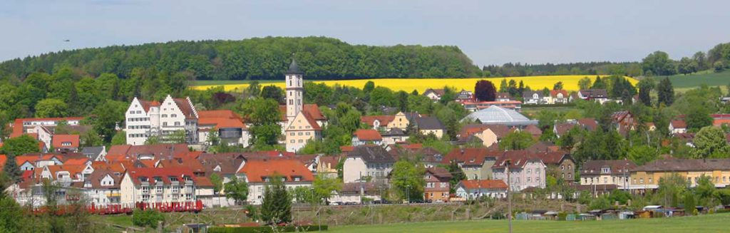 Panorama-Ansicht Stadt Aulendorf